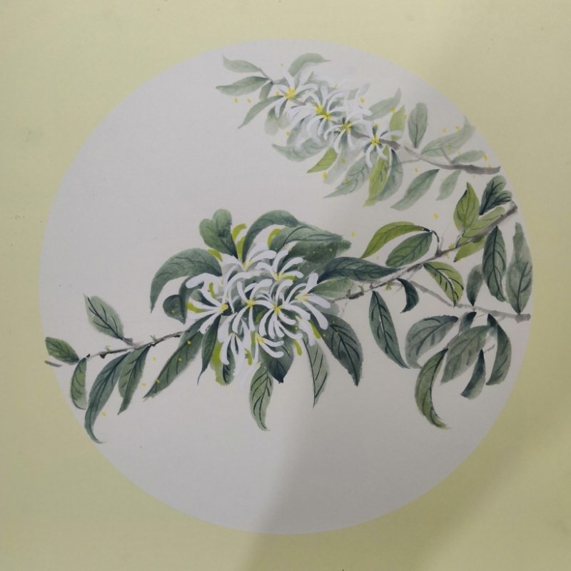 郭晴晴 流苏花 - 副本.jpg